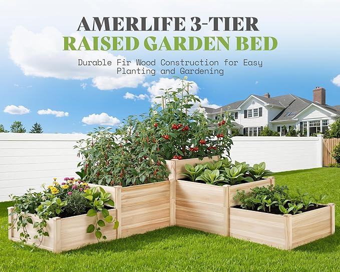 SPECRAFT Raised Garden Bed 3-Tier Outdoor Planter Box Fir Wood with Dividers Shape Adjustable Tool-Free Assembly Ideal for Growing Vegetables Herbs &amp Flowers