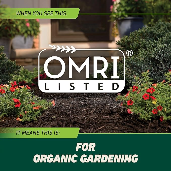 Ortho GroundClear Weed &amp Grass Killer with Comfort Wand - Kills Dandelions Chickweed Crabgrass Moss &amp More OMRI Listed Ready-to-Use Grass and Weed Killer Spray 1.1 gal.