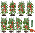 8PCS Tomato Cages for Garden Tomato Trellis for Raised Garden Bed 51.2 Tall Cage Plant Support for Pots Gardening Supplies Trellis for Climbing Plants (8PCSHigh: 51.2 Inch)