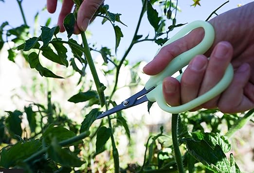Clonex 100ml Cloning Gel &amp Obsidian Drake Pro Hort Scissors Bundle - Rooting Gel with Non-Stick Fluorine L-Shape Blade Trimming Scissors for Gardening
