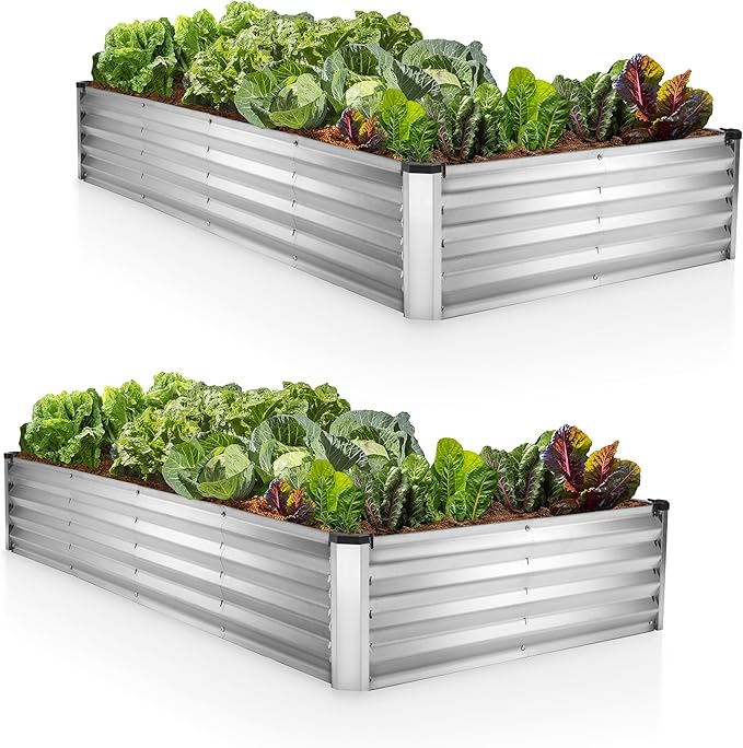 Plant &amp Plot Galvanized Raised Garden Beds Outdoor // 6×3×1 ft (2-Pack) Planter Raised Beds for Gardening Vegetables Flowers // Large Metal Garden Box // Patented Tool-Free Design (Silver)