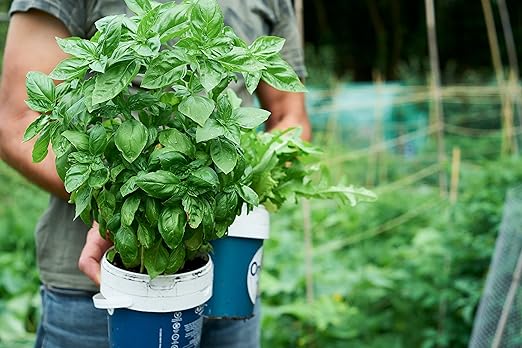 Organic Growing Fertilizer 1 Gal CDFA Organic Registered. Plant Care Fertilizer for Vegetable Gardens Like Tomato Cucumber Squash Beans and All Other Plants