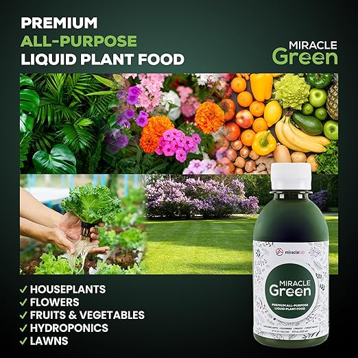 Miracle Green Fast-Acting Liquid Plant Food - Special Formula with Tree Sap &amp Yucca Plant Extract - All-Purpose Fertilizer for Houseplants Flowers Fruits Vegetables &amp Trees (16 oz)