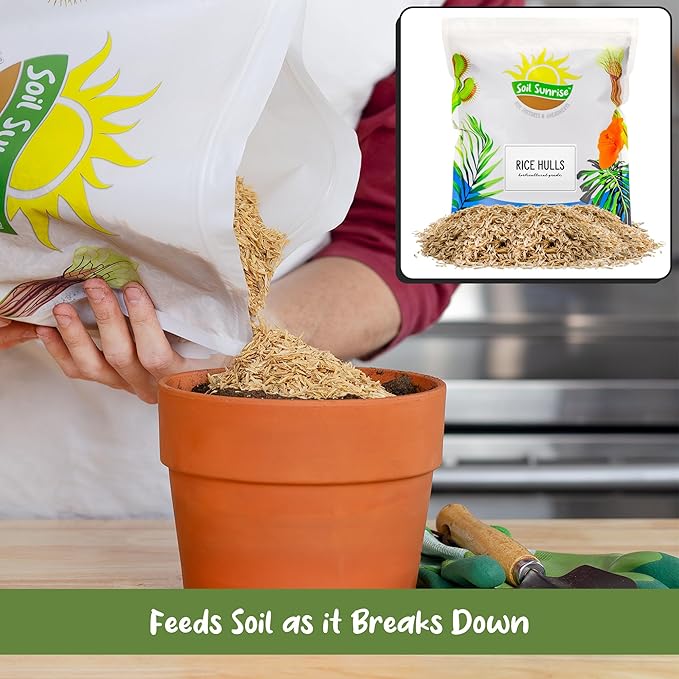 Soil Sunrise Organic Horticultural Grade Rice Hulls (8 Quarts) All-Natural Soil Amendment for Houseplants Gardening Seed Starting &amp Chicken Bedding
