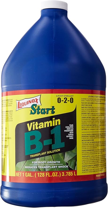 0-2-0 Start with Vitamin B-1 1-Gallon