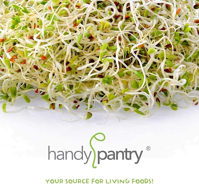 Organic Sprouting Seed Mix – 2.5 lb – 10 Varieties: Alfalfa Mung Bean Broccoli Lentil Clover Buckwheat Radish Bean Salad More