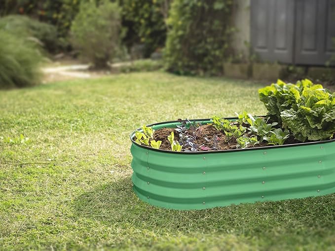 Plant &amp Plot Galvanized Raised Garden Beds Outdoor // 4×2×1 ft &amp 4×4×1 ft Planter Raised Beds for Gardening Vegetables Flowers // Large Metal Garden Box (Light Green)