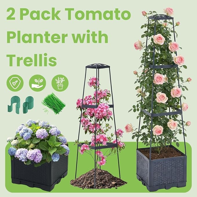 2 Pack Raised Garden Bed Tomato Planter with Trellis - 45 Self Watering Planters Box with Trapezoidal Trellis for Climbing Plants Vegetables Flowers - Tomato Cages for Greenhouse Indoor Outdoor