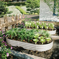 Heavy Duty Galvanized Steel Raised Garden Bed for Outdoor Vegetables Flowers and Herbs – Rust Resistant Durable &amp Easy to Assemble (1Pcs 8x4x1ft)
