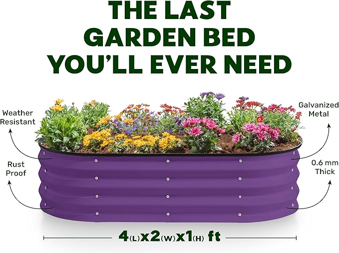 Plant &amp Plot Galvanized Raised Garden Beds Outdoor // 4×2×1 ft &amp 4×4×1 ft Planter Raised Beds for Gardening Vegetables Flowers // Large Metal Garden Box (Purple)
