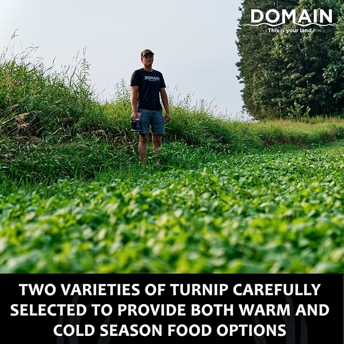 Domain Outdoor Smack Down Food Plot Seed 1/2 Acre Variety of Purple Top Turnip and Forage Turnip Attractive Forages No Matter The Time of The Year High Levels of Protein and Energy Fast to Mature