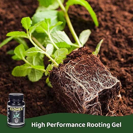 Clonex Rooting Gel - High-Performance Rooting Compound for Plant Cuttings Contains IBA Promotes Root Initiation &amp Development - 250ml