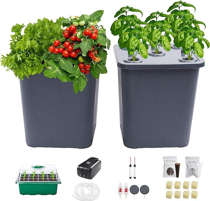2 Hydroponic Buckets Kit for Plants Hydroponics Growing System for Herbs/Tomato/Vegetables DWC System with Air Pump &amp Germination Tray (Complete Indoor Hydroponic Gardening Supplies)
