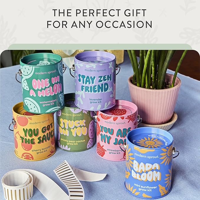 Modern Sprout Complimentary Color Grow Kits (Pack of 6) - Seed Starter Kit - Includes Strawberry Sunflower Cactus Tomato Melon &amp Lavender Seeds - Gardening Gifts that Grows with Love