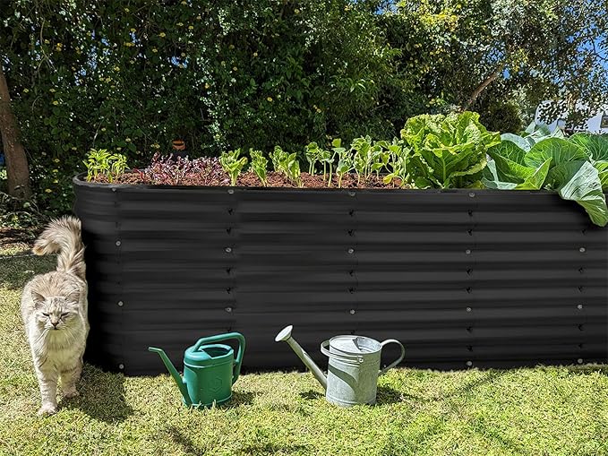 Plant &amp Plot Galvanized Raised Garden Beds Outdoor // 6×2×2 ft Planter Raised Beds for Gardening Vegetables Flowers // Large Metal Garden Box (Black) // Patented Tool-Free Design