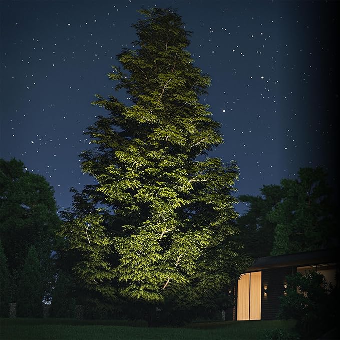 WAC Lighting LED Colorscaping Smart App Controllable Landscape Lighting with RGBWW Color Changing and Tunable White Power Accent 14W Light in Black