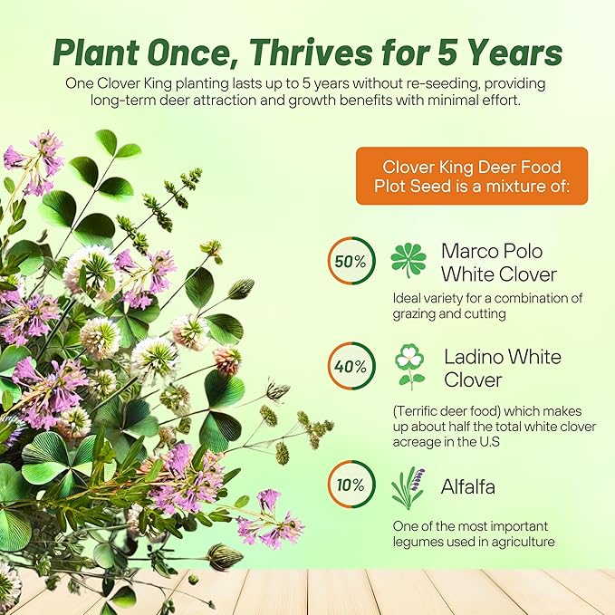 Outsidepride Perennial Clover King Seed Mix - 5 lbs Nitrocoated Inoculated Heat &amp Cold Tolerant Alfalfa-Enhanced Food Plot Seeds for Deer &amp Wildlife Ideal for Spring Summer &amp Winter