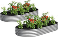 2PCS 8x4x1FT Galvanized Raised Garden Bed KitVegetable Boxes-Oval Metal Flower BoxLarge Planter Raised Beds Outdoor Garden for PlantingFruitHerb-Silver