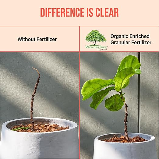 Eden Vegetables &amp Leafy Greens Organic Enriched Fertilizer - Neem Plant Food 7-7-7 Enriched Formula for Perfect Nitrogen Phosphorous &amp Potassium Balance (5 lbs)