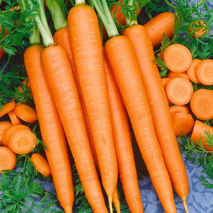 Tendersweet Carrot Seed - 1 Lb ~320000 Seeds - Non-GMO Heirloom Vegetable Garden Seeds - Gardening by Mountain Valley Seed