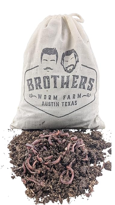 BROTHERS WORM FARM - 1/4 LB (~250) Red Wiggler Composting Worm Blend. Best Species for Composting Gardens Bins and Creating Worm Castings at Home.