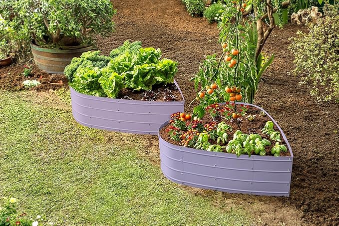 Plant &amp Plot Galvanized Raised Garden Beds Outdoor // Planter Raised Beds for Gardening Vegetables Flowers // Large Metal Garden Box (Lavender) // Tool-Free Assembly