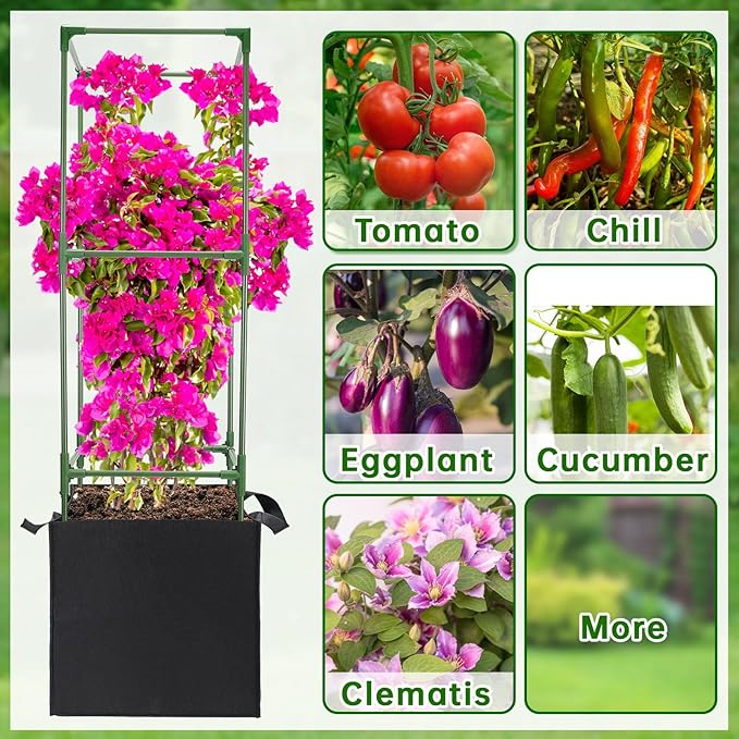 ANPHSIN 2 Sets Tomato Cages with 10 Gallon Grow Bags - 47'' Stable Plant Support Trellis Kit Square Cages with Planter Pots for Garden Flowers Vegetables Cucumber Vertical Climbing Plants Vines
