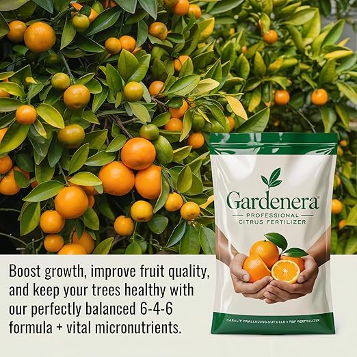 𝐁𝐄𝐒𝐓𝐒𝐄𝐋𝐋𝐄𝐑 Citrus Fertilizer + Vital Micronutrients - Perfect Balanced NPK for All Citrus - for Indoor and Outdoor Plants - Orange Lime Avocado and Lemon Tree Fertilizer - 20 QUARTS