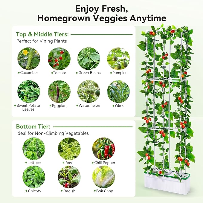 Smart Hydroponic Growing System Kit Safe and Durable Indoor Gardening System Suitable for Growing Tomatoes Melons Vegetables Cabbage Peppers Herbs Flowers and Other Plants (7L)
