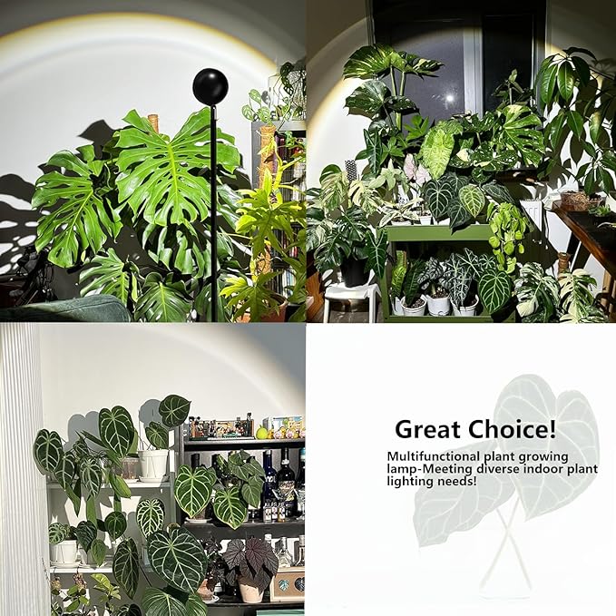 Standing Grow Light with Timer 4/8/12H 20W Full Spectrum Vertical Grow Lights for Indoor Plant Growing Wide Coverage 5.24FT to 6.88FT Height Adjustable Ideal for Large Tall Plants