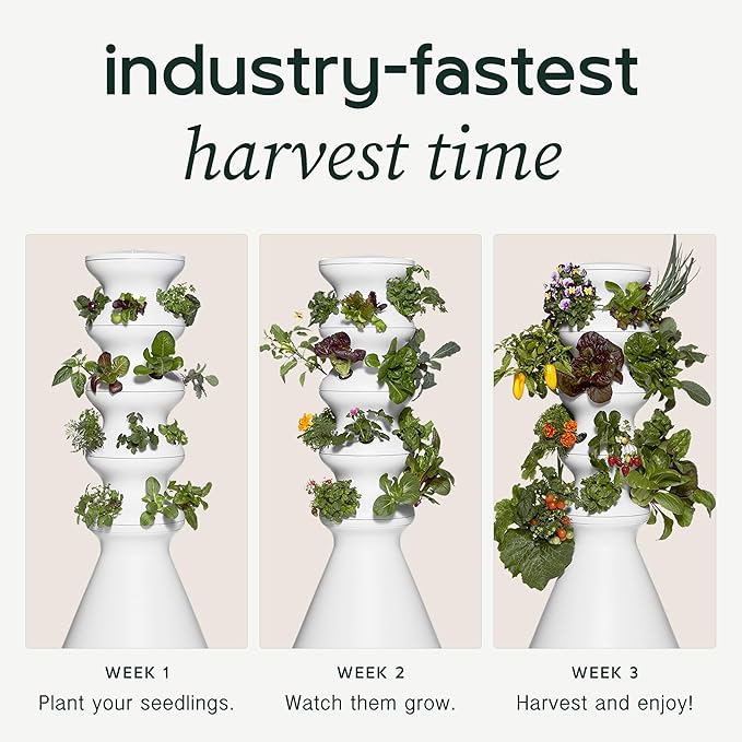 Farmstand Tiny Starter Kit with 12 Seedling Credits | 3 ft 8 in Vertical Hydroponic Garden Tower | Self-Watering Outdoor Growing System for Herbs Greens &amp Vegetables | Made in USA