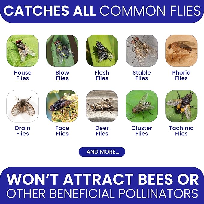 3 Fly Traps Outdoor Fly Trap for Patio with 6 Non-Toxic Dissolvable Bait Refills. Reusable Hanging Bug Catcher Killer for All Filth Flies for Outside Bug Control Yard Ranch. Hanging Chains Included