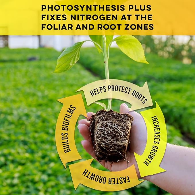 Microbe Life Hydroponics Premium Photosynthesis Plus to Grow Fruits Vegetables and Herbs The Best Professional Big Bud Grow Use with Any Feeding Systems Including Hydroponics or Soil 1 Gallon