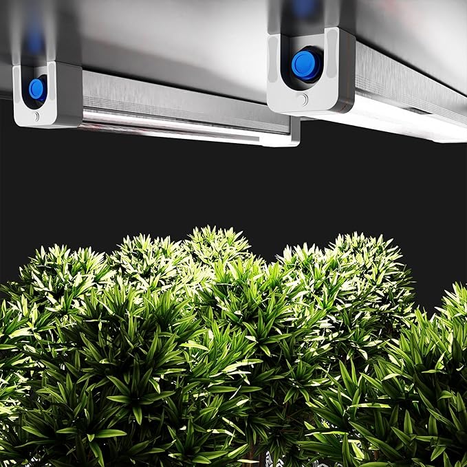 RDJ Bouns 720W LED Grow Light for 4x4 Grow Tent U60 2Pack with Under-Canopy Grow Light Cascade Cable Harness Full Spectrum Commercial Dimmable Lighting for Indoor Plants