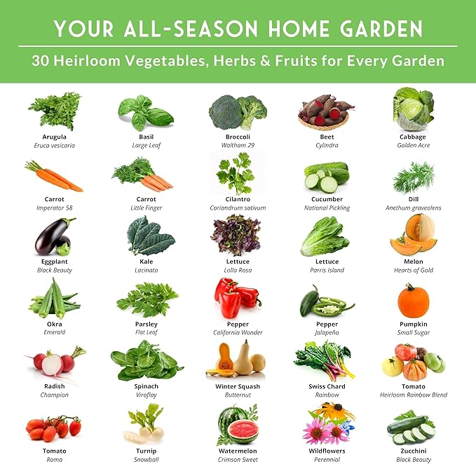 Home Garden Vegetable Seeds 30 Variety Pack – Heirloom Seed Vault Kit for Planting Non-GMO Vegetables Herbs Fruit – Emergency Preparedness Survival Food Grow Kit – Survival Garden Seeds (18500+)