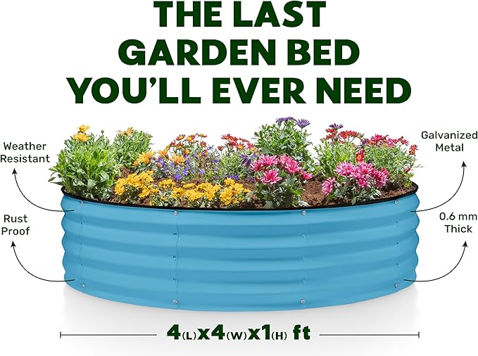Plant &amp Plot Galvanized Raised Garden Beds Outdoor // 4×2×1 ft &amp 4×4×1 ft Planter Raised Beds for Gardening Vegetables Flowers // Large Metal Garden Box (Teal)