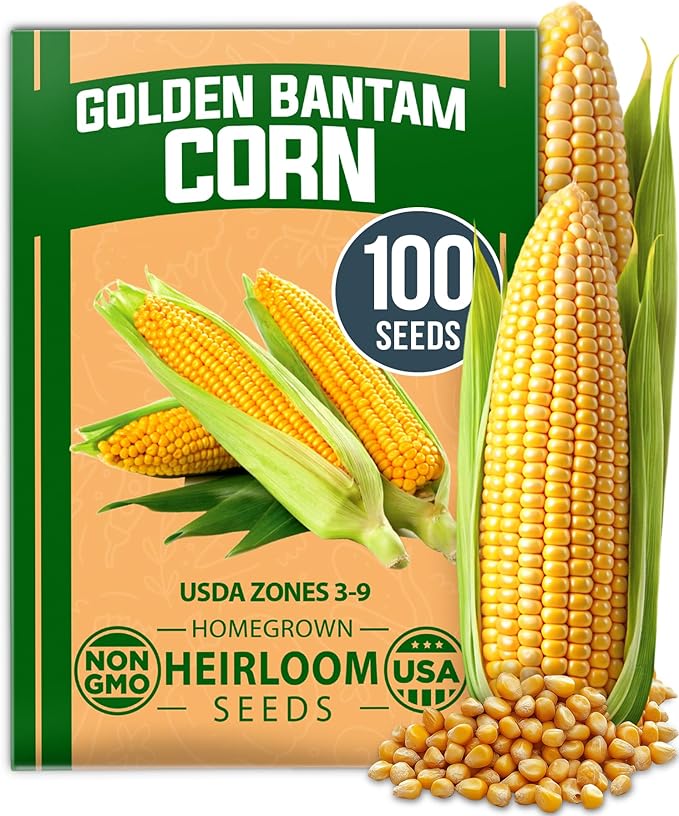 HOME GROWN 𝗨𝗦𝗔 𝗣𝗥𝗘𝗠𝗜𝗨𝗠 𝗢𝗥𝗚𝗔𝗡𝗜𝗖 Watermelon Vegetable Seeds 15 &amp Golden Bantam Corn 100 &amp Contender Bush Bean 28 &amp Sunflower 520