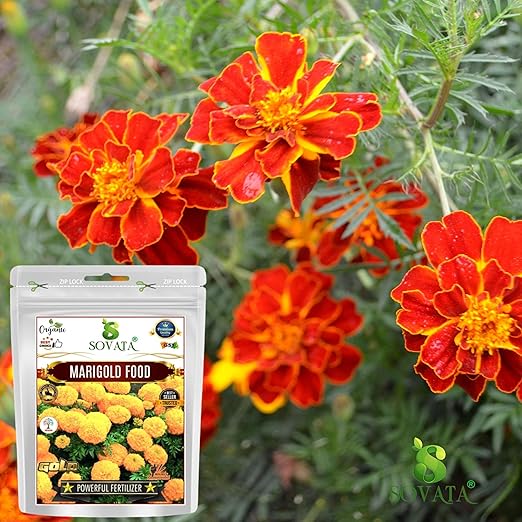 Sovata® Marigold Food Powerful Organic Fertilizer for Heavy Flowering and Fast Growth of Marigold Plants. (900 gm)