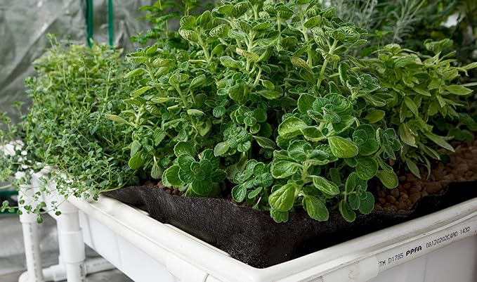 Smart Pot Tray Liner Raised Bed Flood 4 ft x 8 ft (48 x 96)