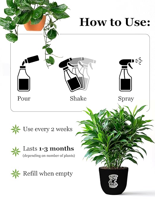 Plant &amp Leaf Spray – Non-Toxic Leaf Shine &amp Protector | Eco-Friendly Safe for Indoor Plants | Handcrafted Women-Owned 3rd Generation Recipe | Plant-Based Formula with Gentle Silicone