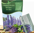 Outsidepride Wild Blue Perennial Lupine Seeds - 1 Lb. Self-Sowing Cold Hardy &amp Frost Tolerant Wildflower Seeds for Fall Planting Ideal for Attracting Pollinators &amp Hummingbirds