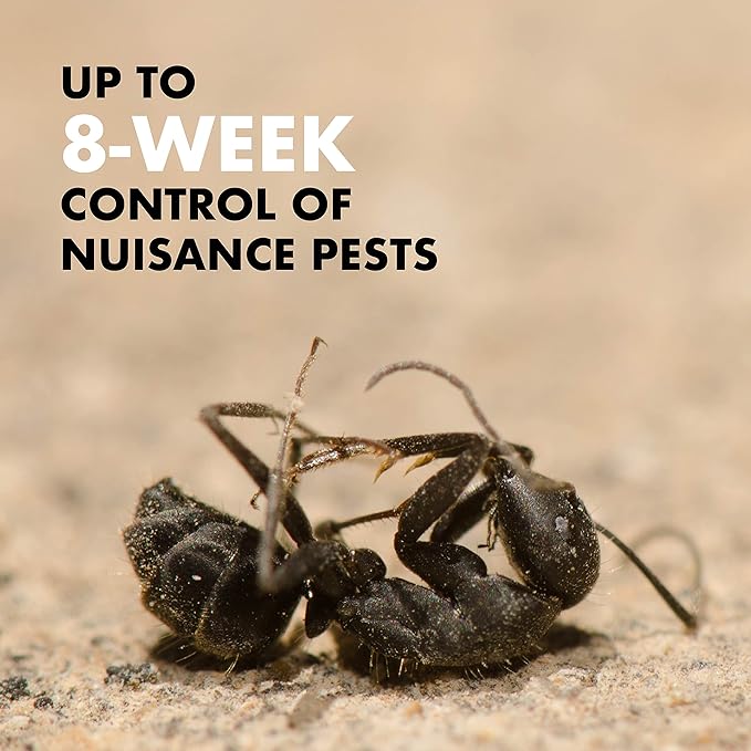 Spectracide Terminate Termite &amp Carpenter Ant Killer Concentrate Kills Termites Ants and Carpenter Ants 32 fl Ounce