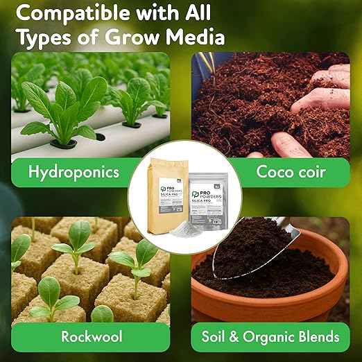 Pro Powders Silica Potassium Silicate 1LB Powder - Makes up to 900 Gallons - Stengthens Branches &amp Nutrient Delivery System &amp Reduces Stress