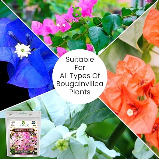 Sovata® Bougainvillea Flower Food Powerful Organic Fertilizer for Heavy Flowering and Fast Growth of Bougainvillea Plants. (200 gm)