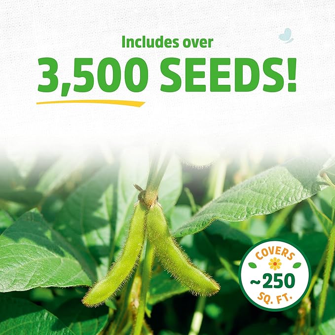 Back to The Roots 100% Organic Soybean Cover Crop Seeds Covers ~1000 sq. ft.