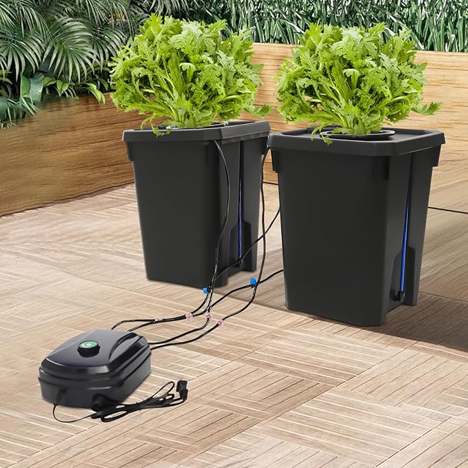 Hydroponics Growing System with Top Drip Kit 5 Gallon Deep Water Culture Bucket System with 12W Air Pump Recirculating Drip Garden System for Growing Plants Flowers Vegetables Fruits