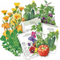 Botanical Interests: Container Garden Seed Bundle - 12 Individual Seed Packets: Non-GMO Compact Vegetable &amp Flower Seeds: Grow Your Own Food in Pots &amp Small Spaces