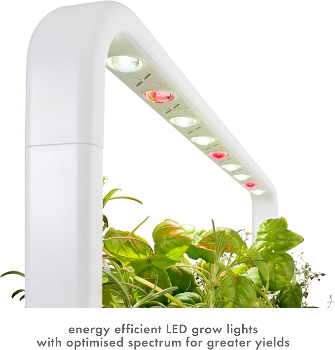 Click &amp Grow Indoor Herb Garden Kit with Grow Light | Easier Than Hydroponics Growing System | Smart Garden for Home Kitchen Windowsill | Vegetable &amp Herb Garden Starter Kit with 9 Plant pods