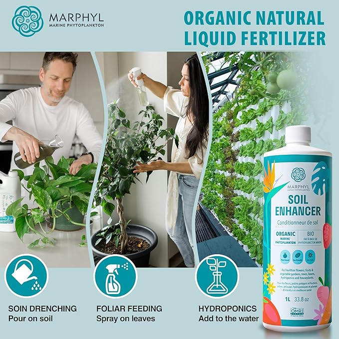 MARPHYL All-Purpose Plant Food – Organic Nutrient-Rich Fertilizer &amp Soil Enhancer for Indoor &amp Outdoor Flowers Vegetables Succulents Bamboo &amp Hydroponics