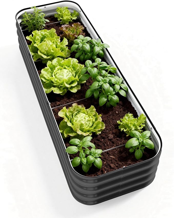 DaisyVibe Raised Garden Bed Kit Planter Raised Garden Boxes Outdoor Oval Large Metal Raised Garden Beds for Vegetables Flowers (Gray 6.5ftx2ftx1ft)